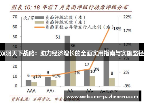 双羽天下战略：助力经济增长的全面实用指南与实施路径