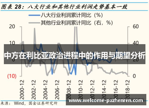 中方在利比亚政治进程中的作用与期望分析