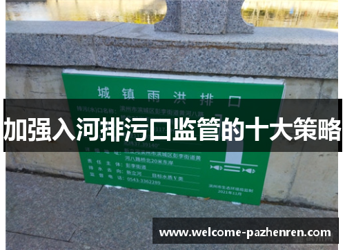 加强入河排污口监管的十大策略