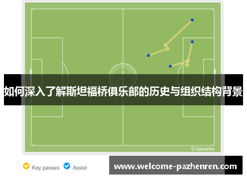 如何深入了解斯坦福桥俱乐部的历史与组织结构背景