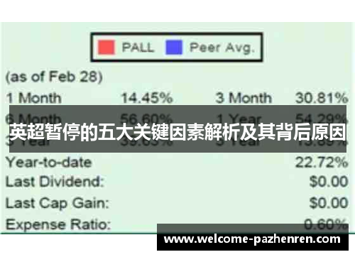 英超暂停的五大关键因素解析及其背后原因