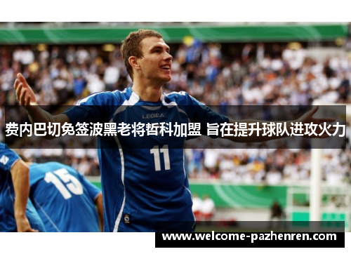 费内巴切免签波黑老将哲科加盟 旨在提升球队进攻火力